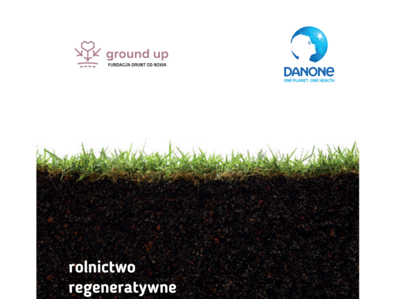 Margines na www 2 v2