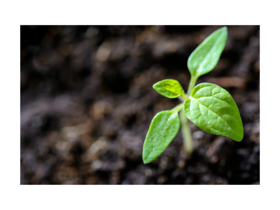 Margines na www 27 v2