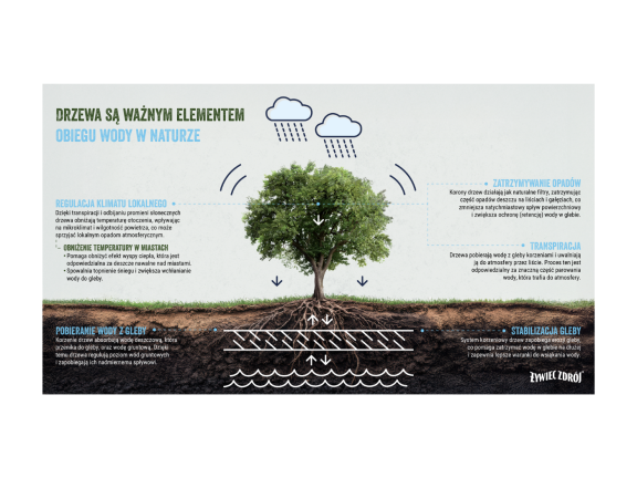 Margines na www 49 v2