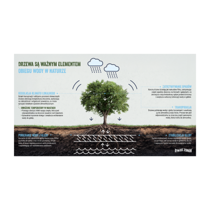 Margines na www 49 v2