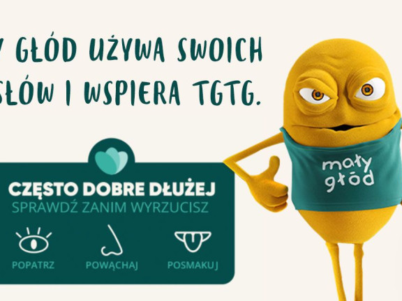 Maly Glod Pakt Koalicjantów TGTG