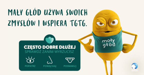 Maly Glod Pakt Koalicjantów TGTG