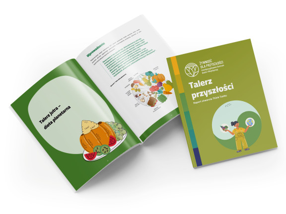 raport visual mockup cover 2023