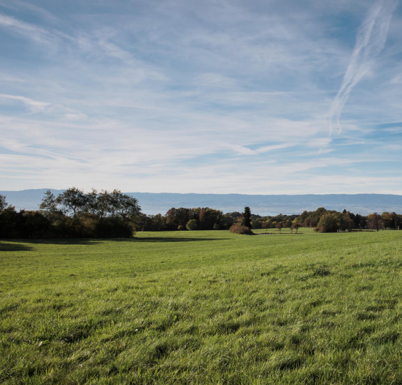 Danone rolnictwo regeneratywne zdjecie pola