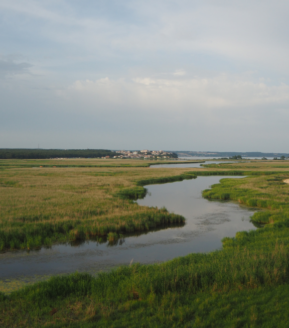 grafika Kropla do kropli