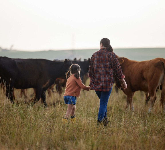 px dobrostan zwierzat