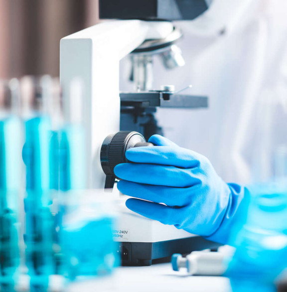 px px magia fermentu